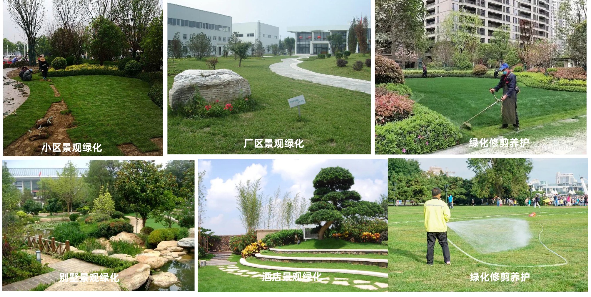 1679710146140209.jpg 1679710146140209.jpg