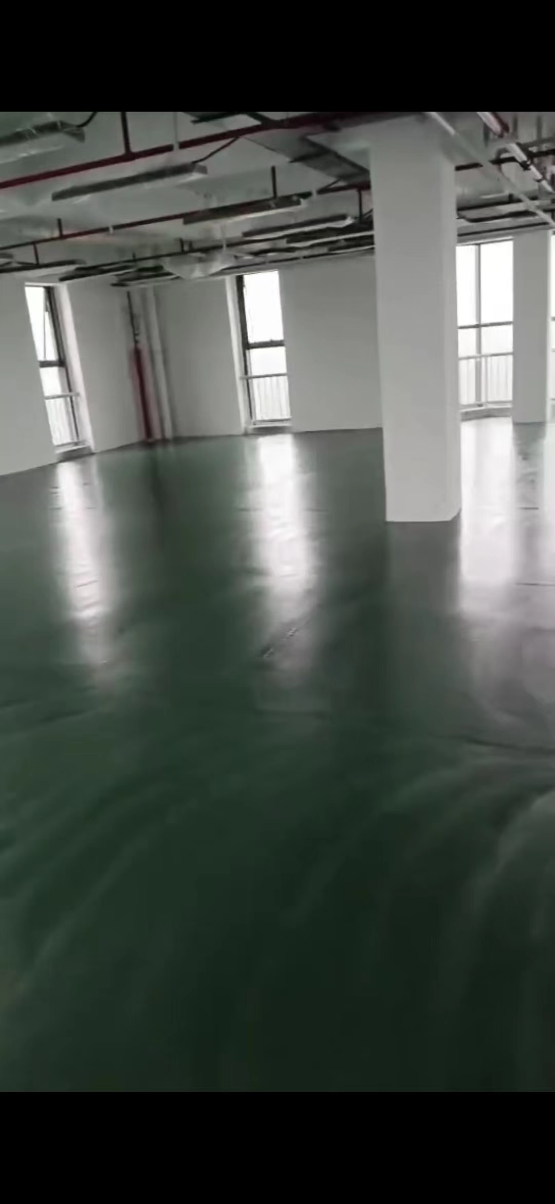 1697700040889380.jpg 1697700040889380.jpg